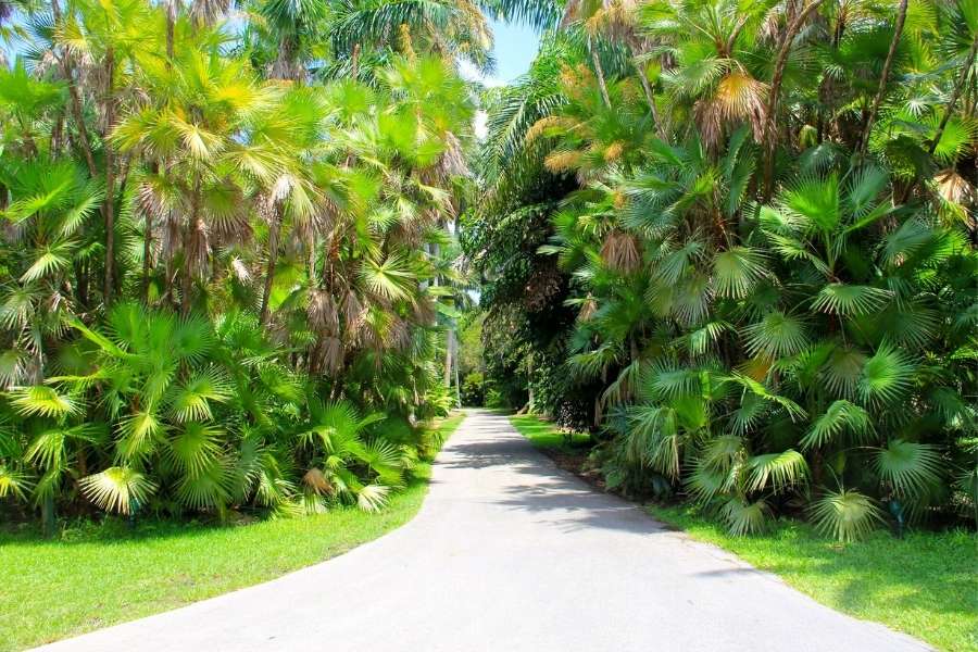 Fairchild Tropical Botanical Garden